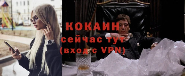 индика Лихославль