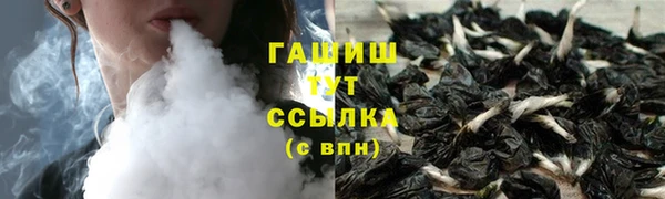 индика Лихославль