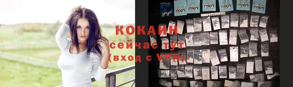 ПСИЛОЦИБИНОВЫЕ ГРИБЫ Лиски
