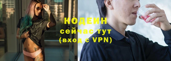 индика Лихославль