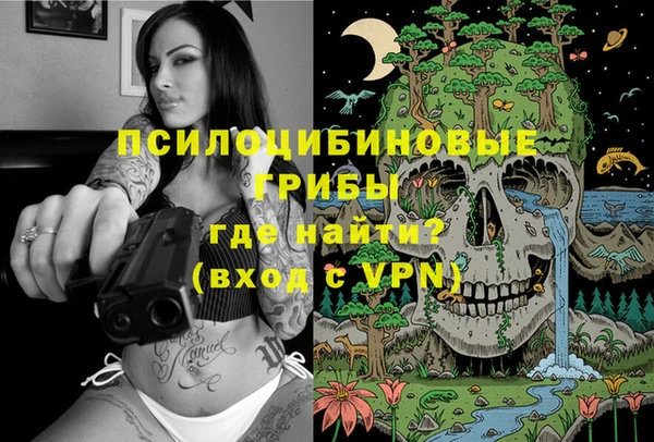 ПСИЛОЦИБИНОВЫЕ ГРИБЫ Лиски