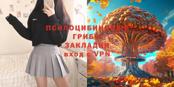 ПСИЛОЦИБИНОВЫЕ ГРИБЫ Лиски