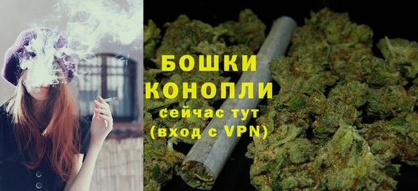 индика Лихославль