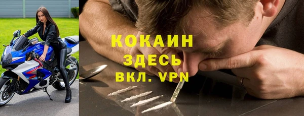 стафф Липки