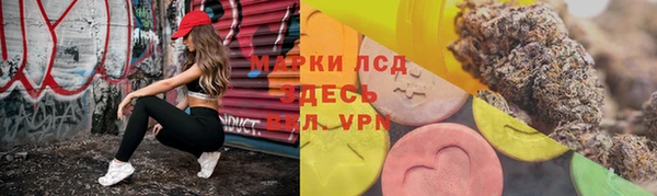 стафф Липки